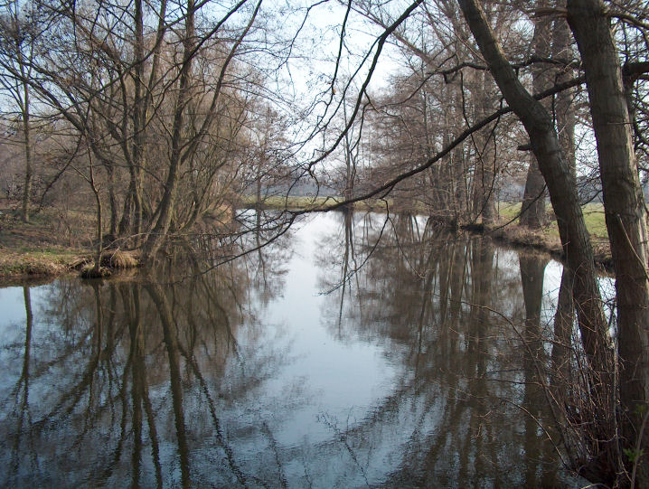 Die Spree